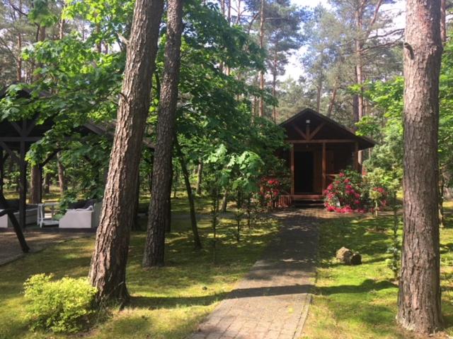 Dworek w lesie - nowy obiekt - Housity
