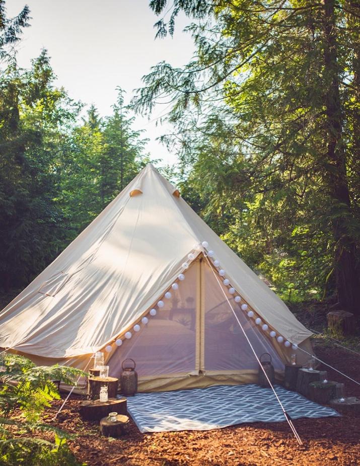 Boho Daydreams Tent - Housity