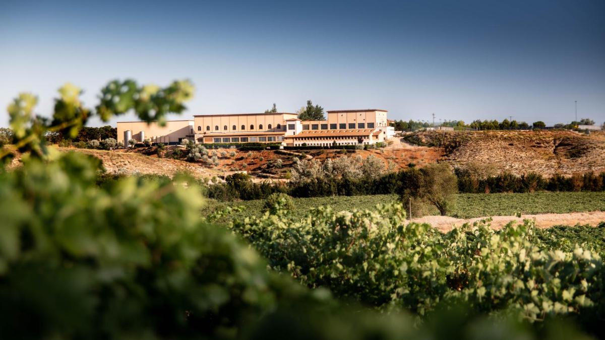 un edificio en la cima de una colina en un campo en Complejo Enoturístico Finca La Estacada, en Tarancón