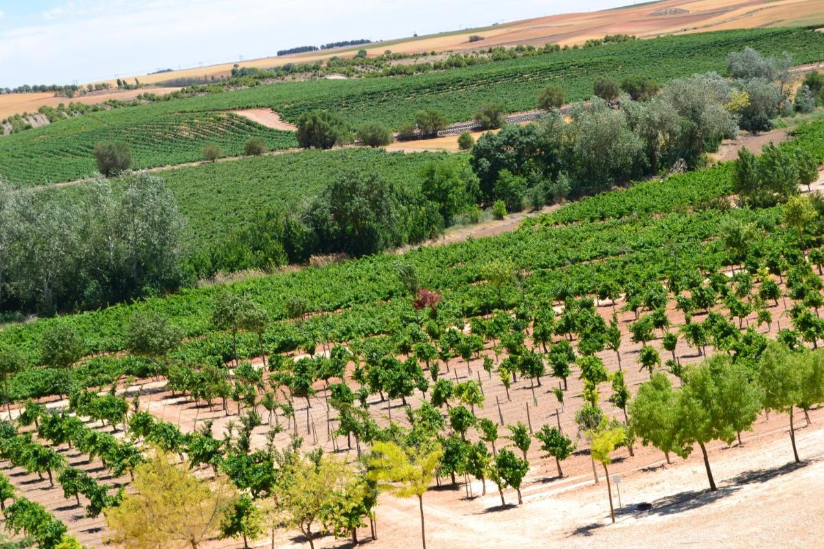 Paisaje cerca de este hotel