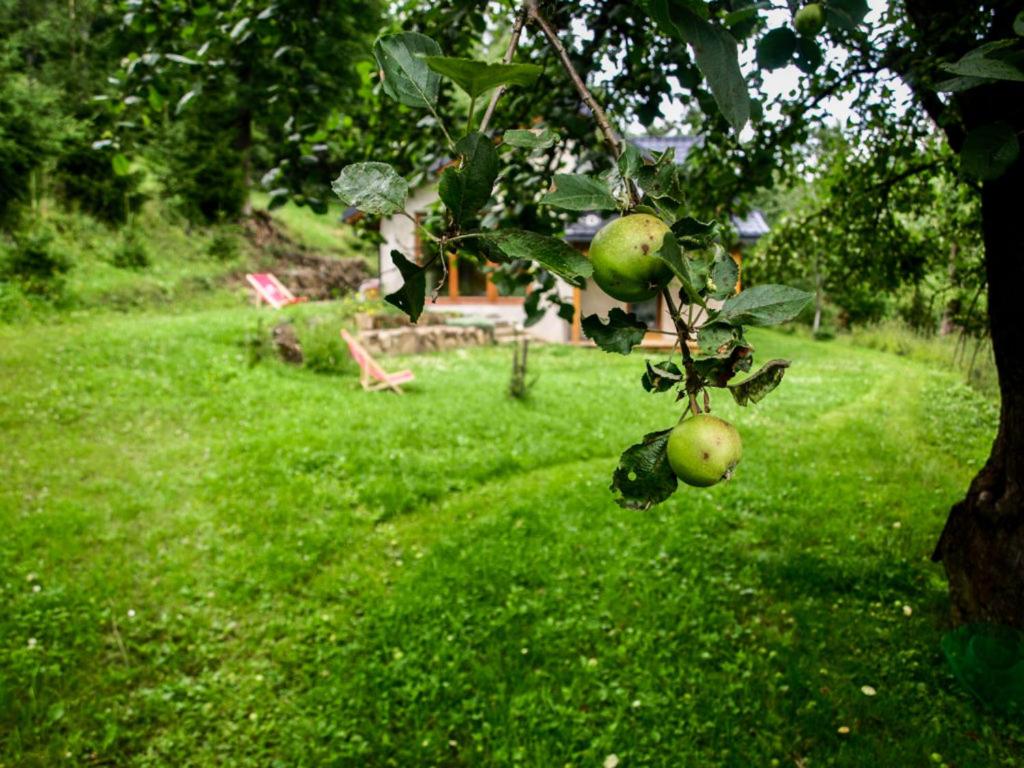 Pod Jabłonią - Housity