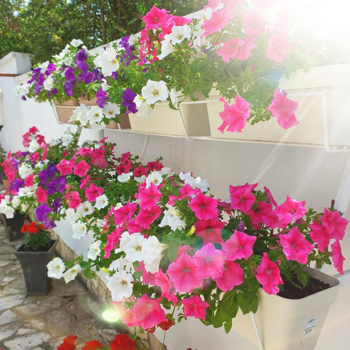Apartment Bagaric - Housity