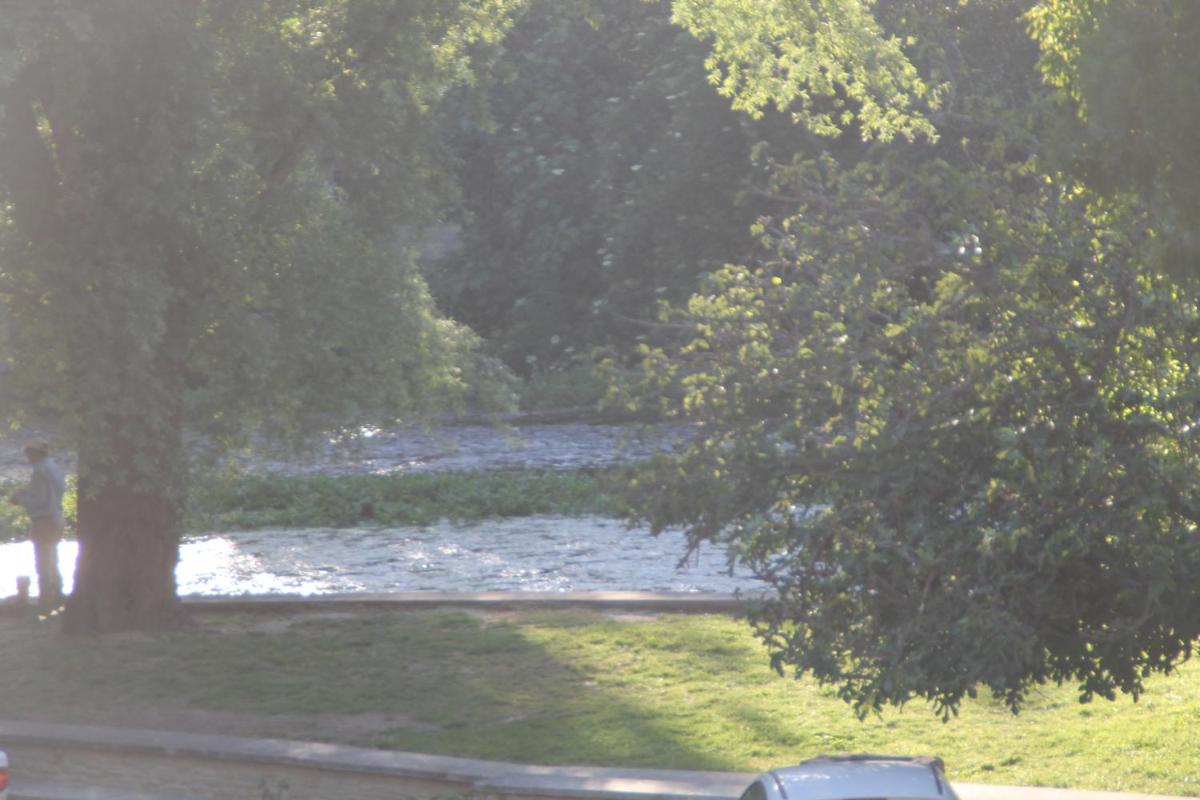 Le Jardin de Zé - Housity