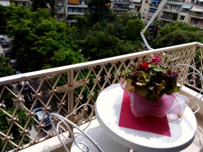 Sylvia' s Apartments - Hizvo