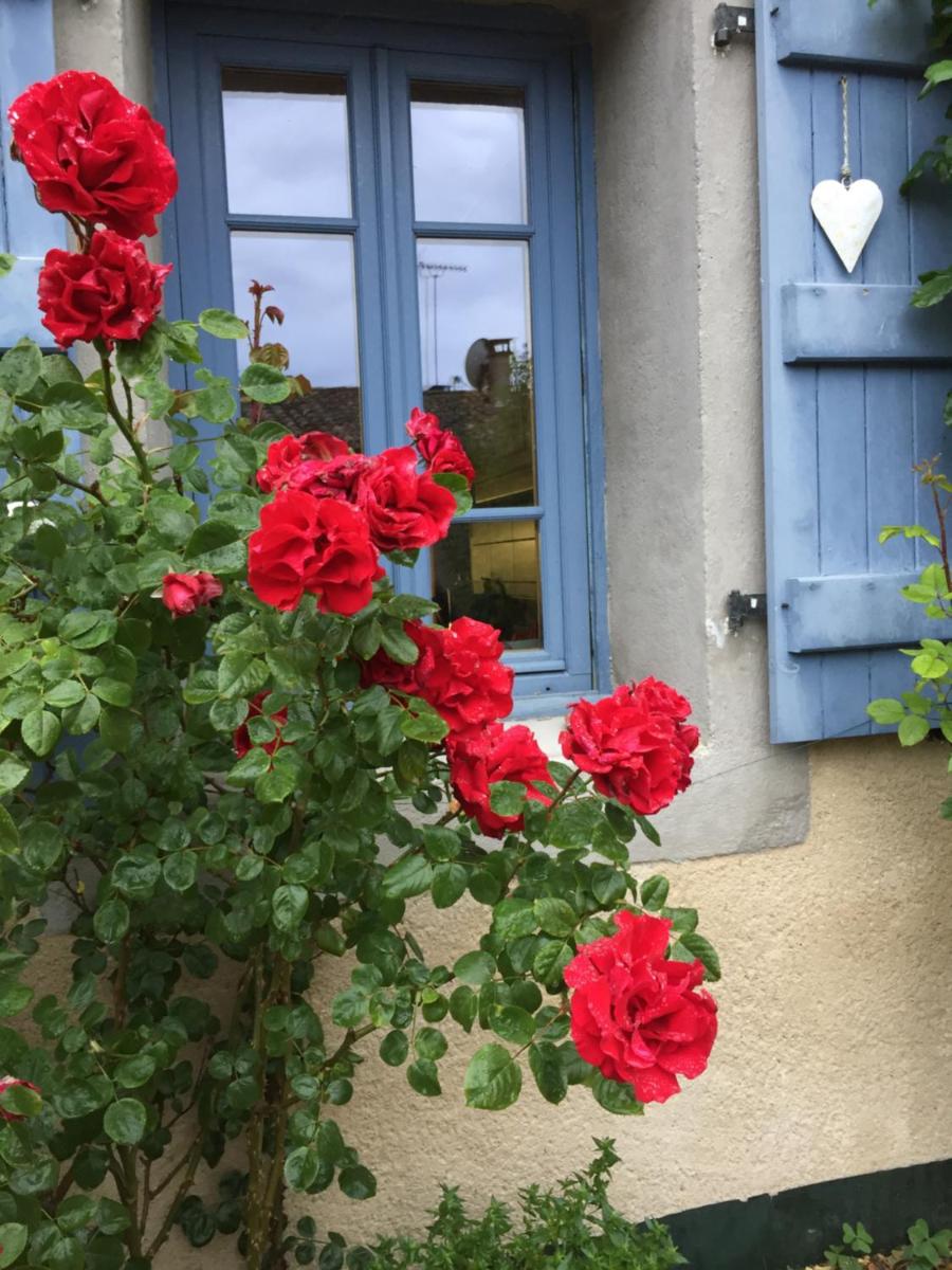 Le Pèlerin - Housity