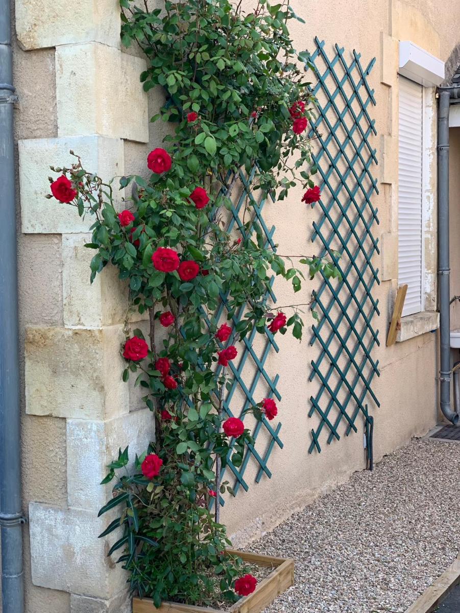 Studio Gallieni - Housity