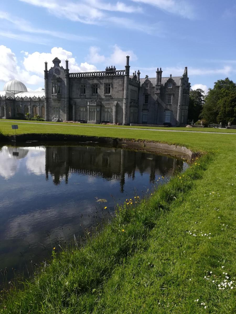 Relaxing space. - Housity