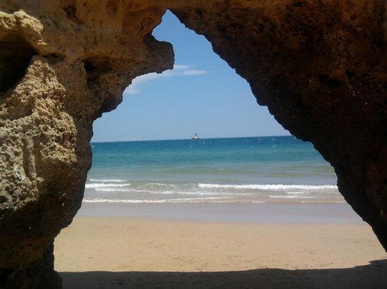 Suitetrails - Sandy Bay studios