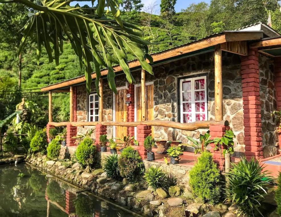 Vamoose Sunakhari - Housity