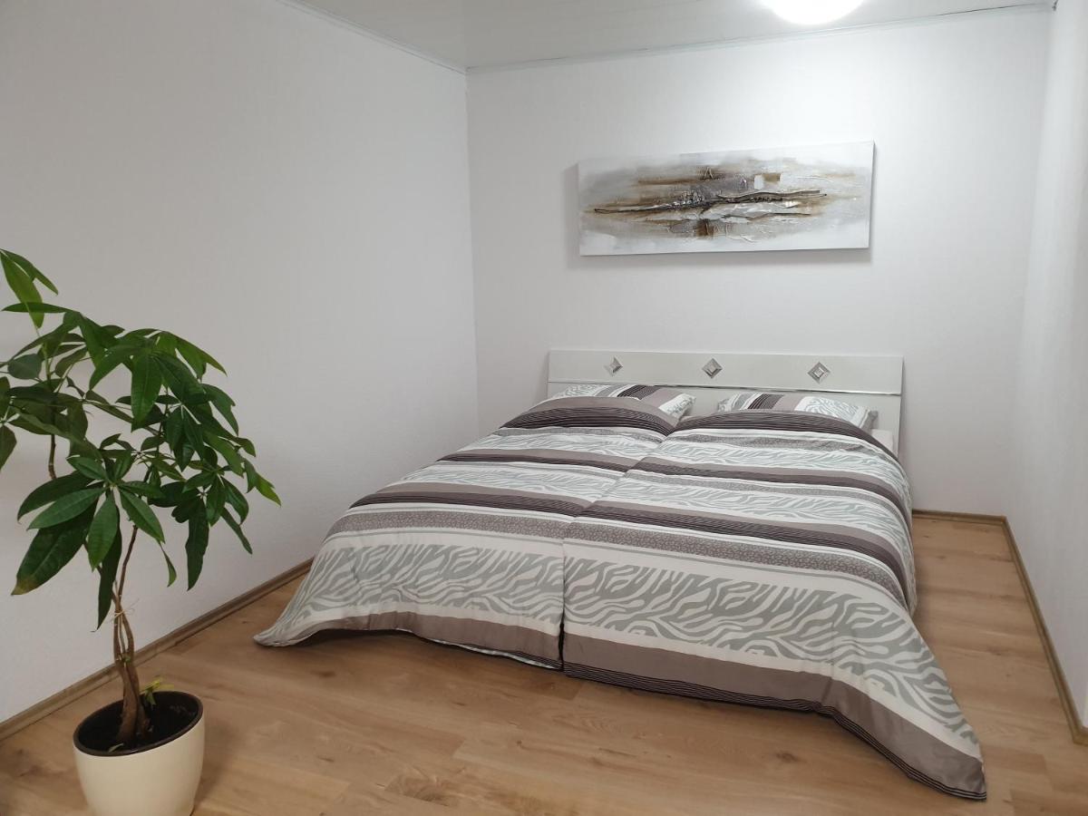 Carina Apartment - Housity