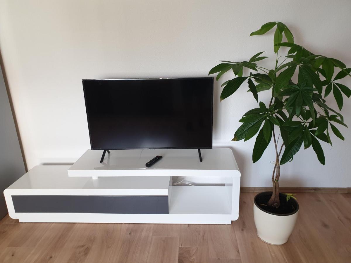 Carina Apartment - Housity