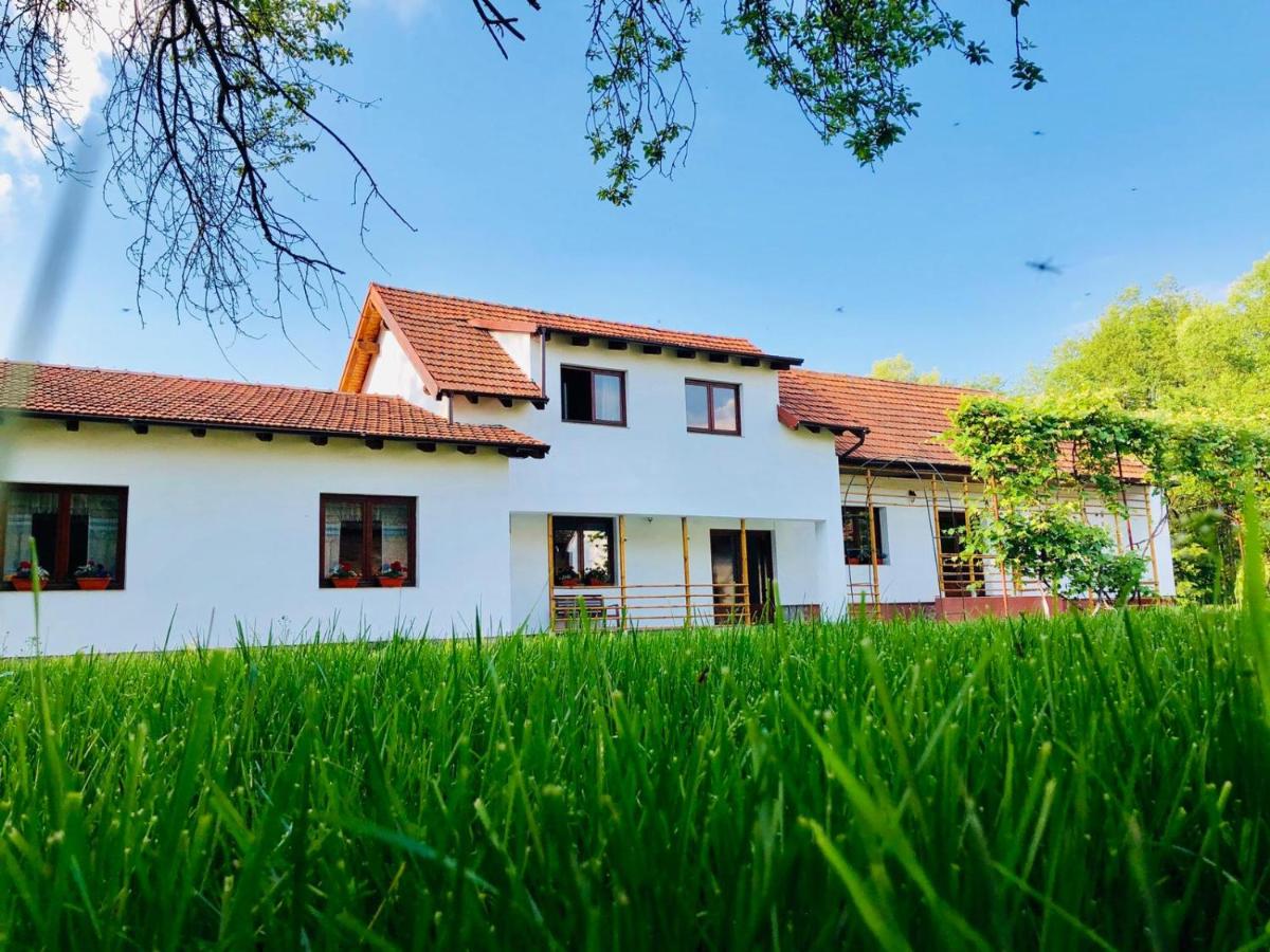 Pensiunea Aer de Munte - Housity