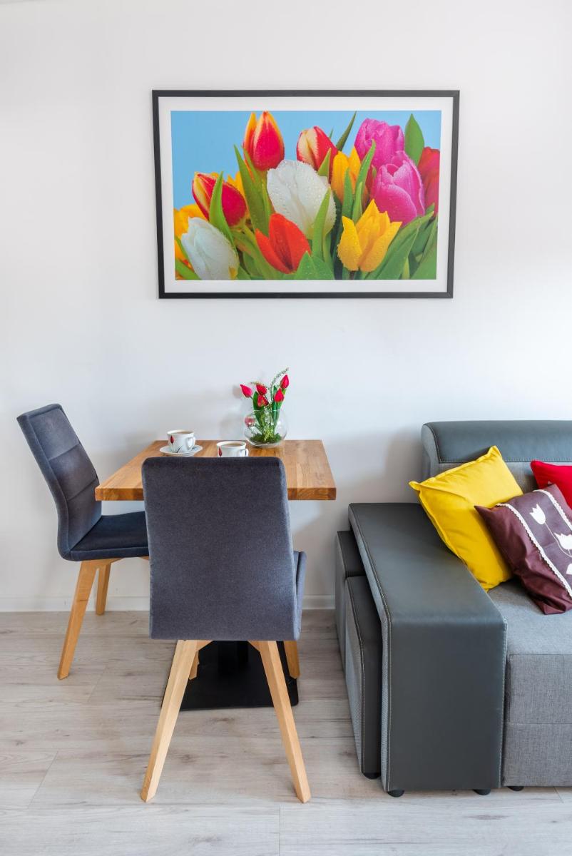 Tulip-Apartments - Jagiellońska 24 poddasze bez windy - Housity