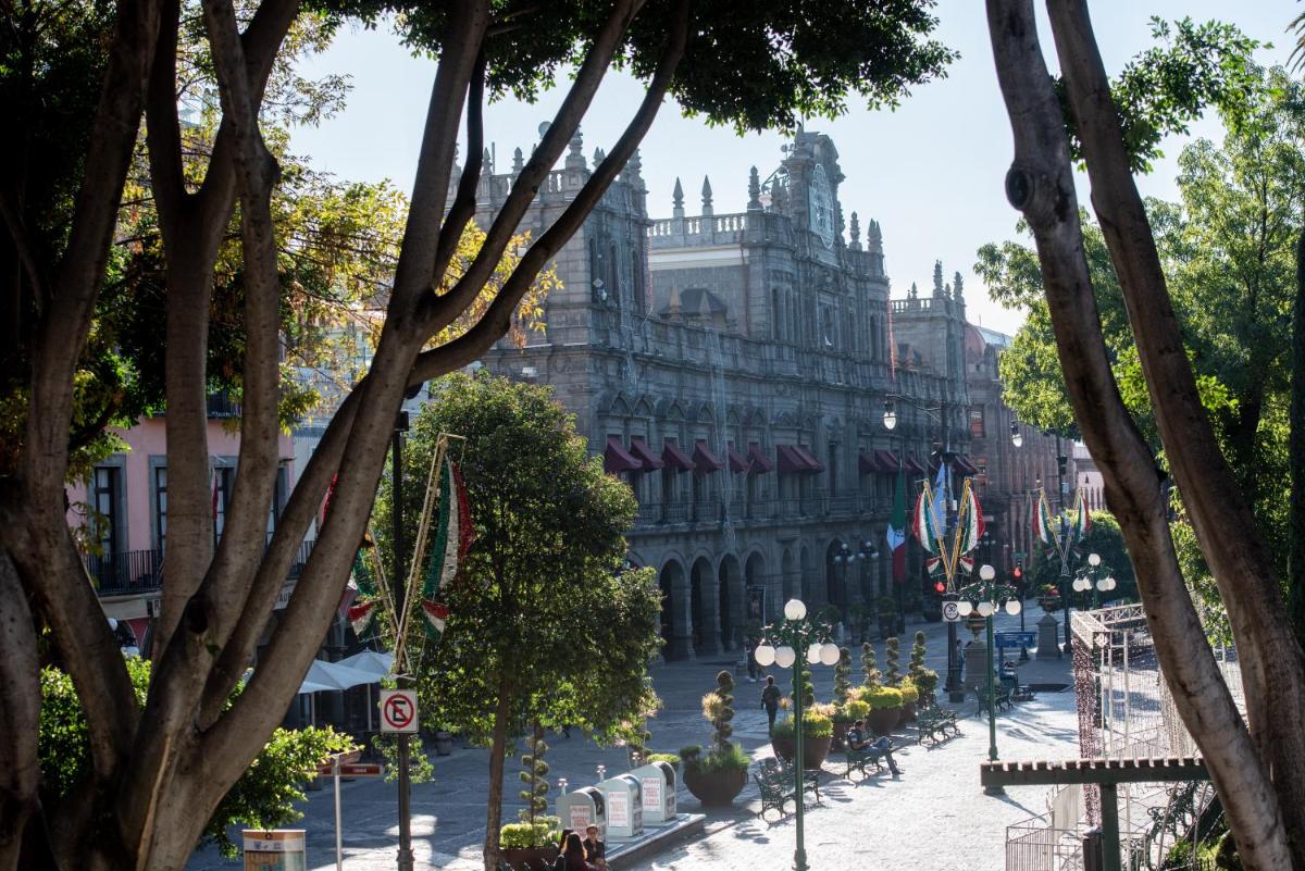 Zocalo SENSACIONAL - Housity