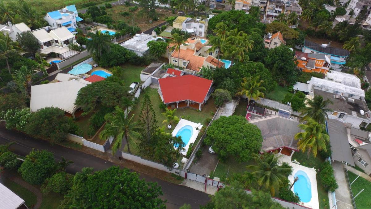 Le Grand Cacatoie - Housity