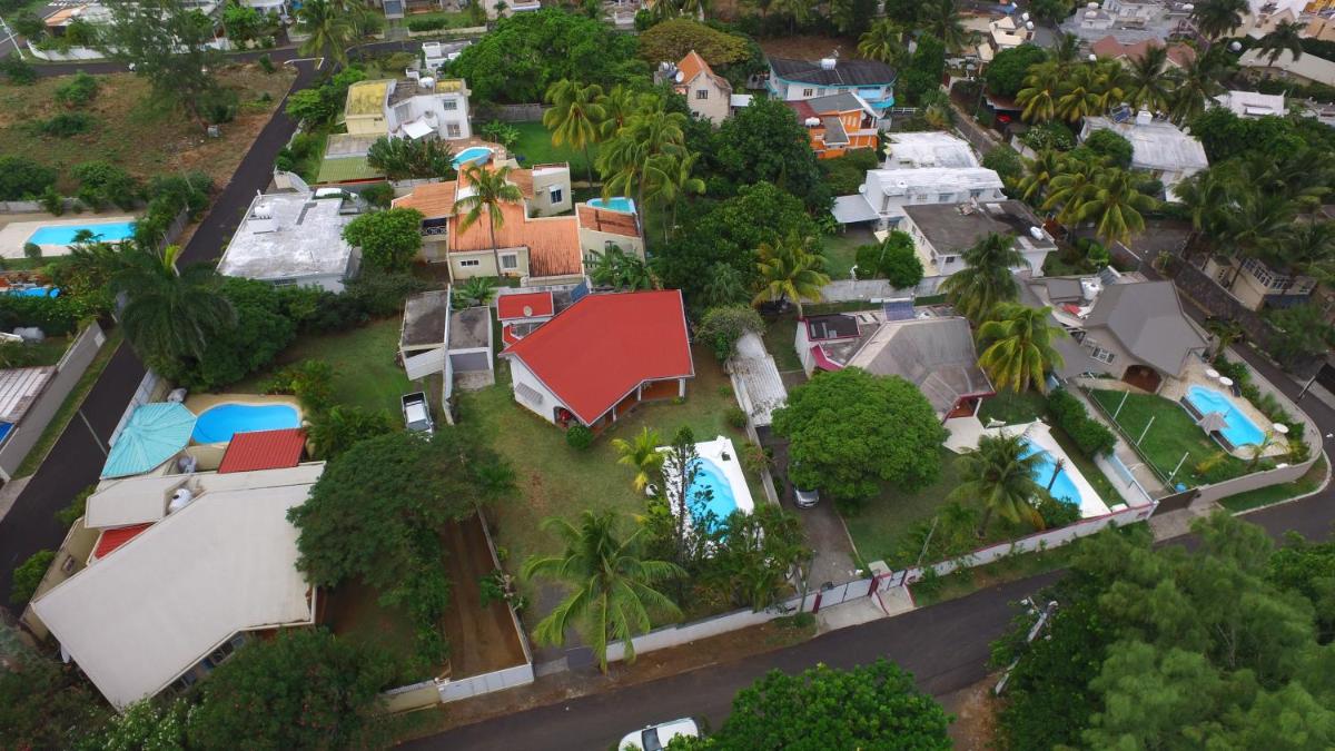 Le Grand Cacatoie - Housity