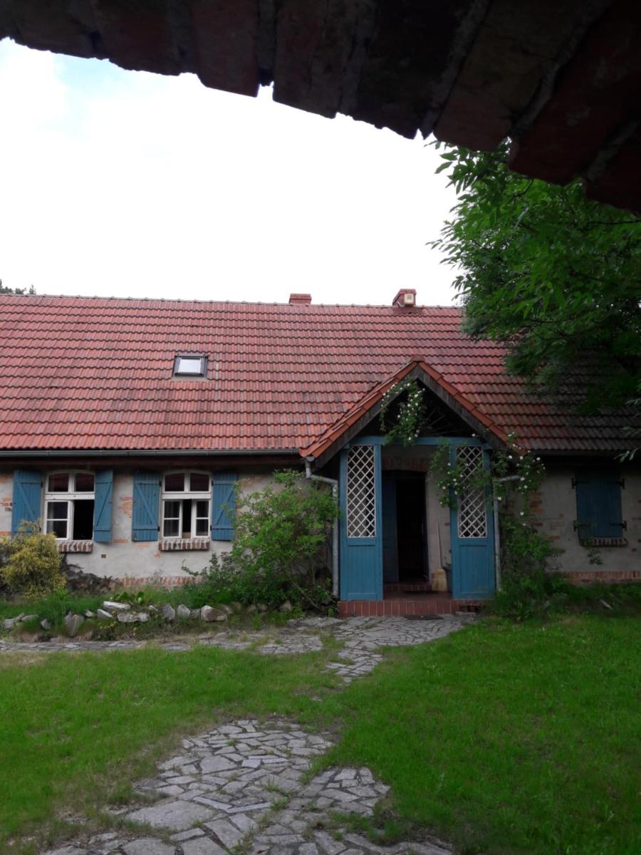 Dom w Puszczy - Housity