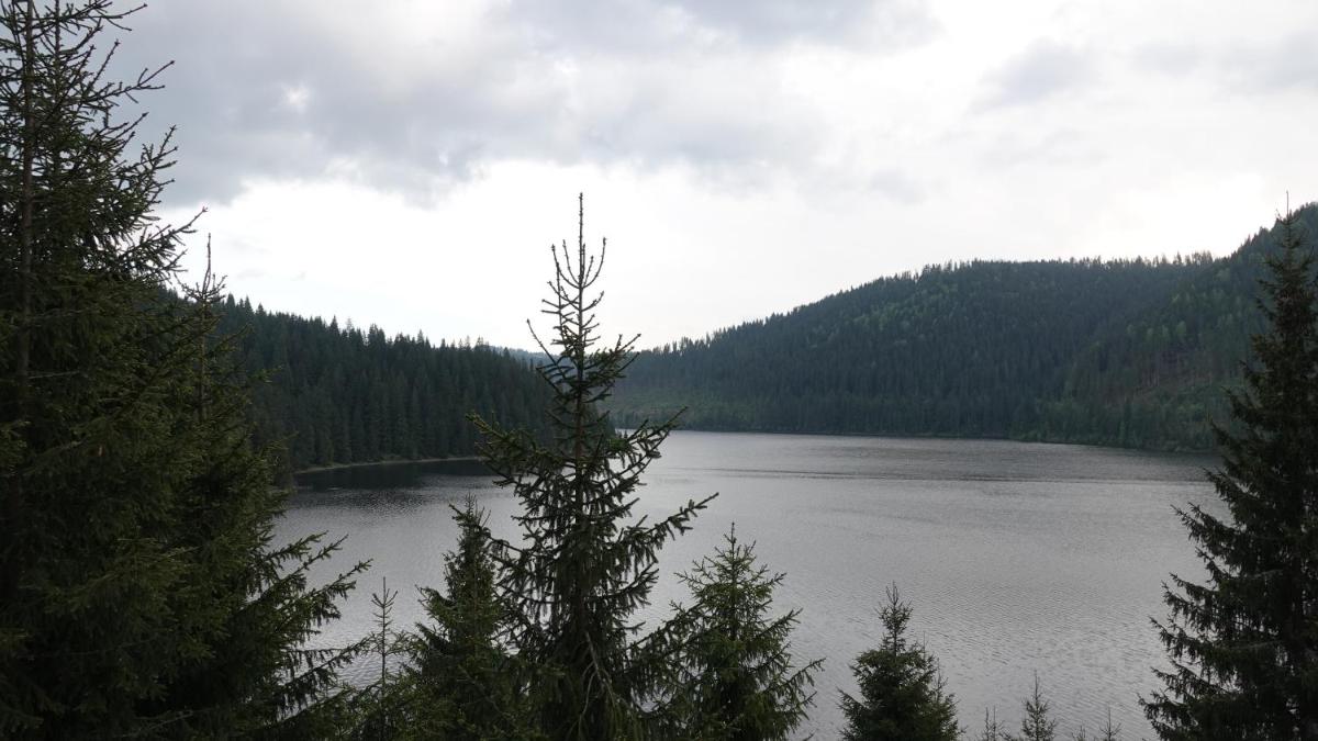 Belis -Best view of the lake - Housity
