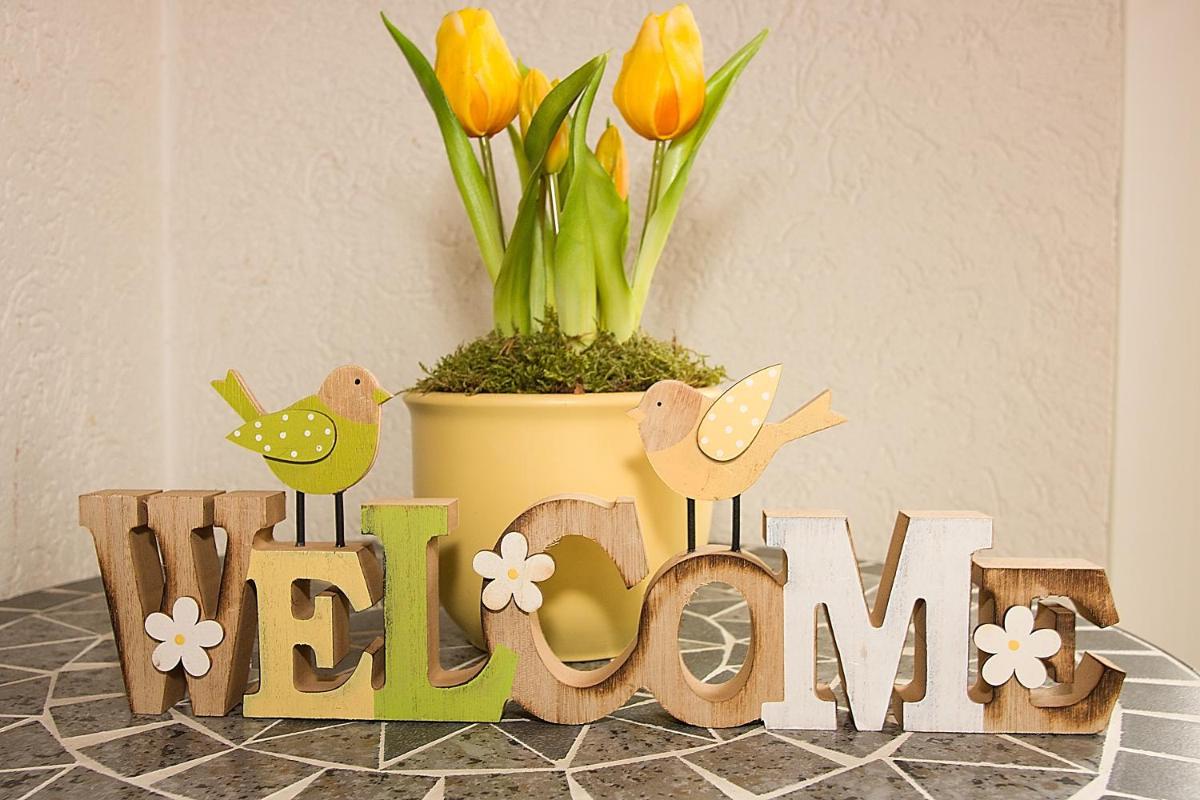 Gallowayhof am Edersee - Housity