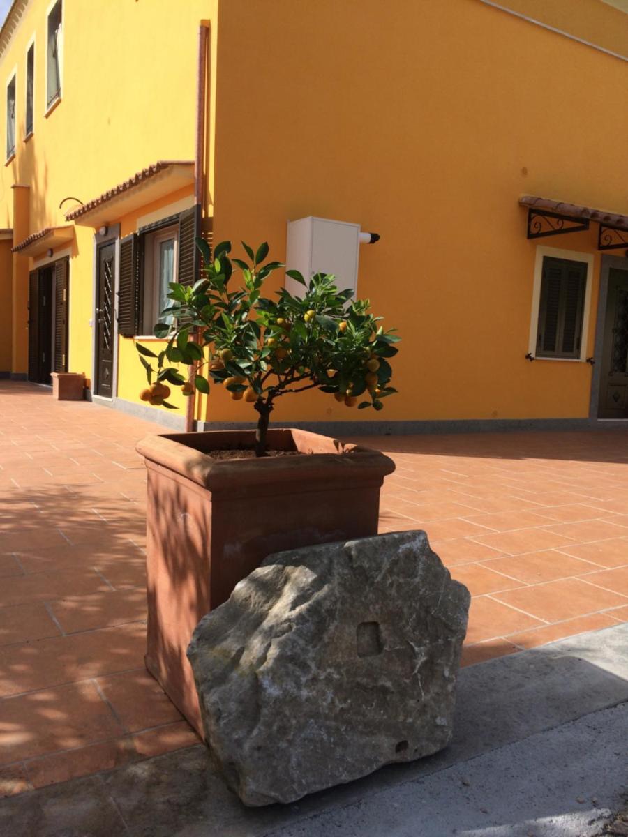 La Villetta Apartments - Hizvo