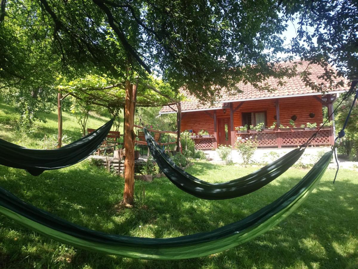 Guest house Little Heaven - Housity