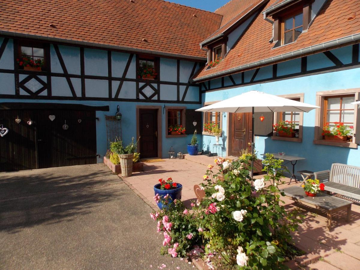 Le Gîte bleu - Housity
