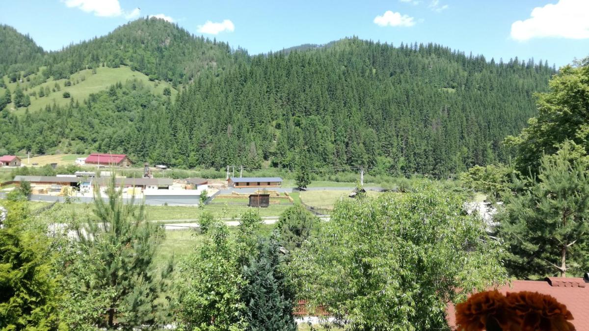 Flori de Bucovina - Housity