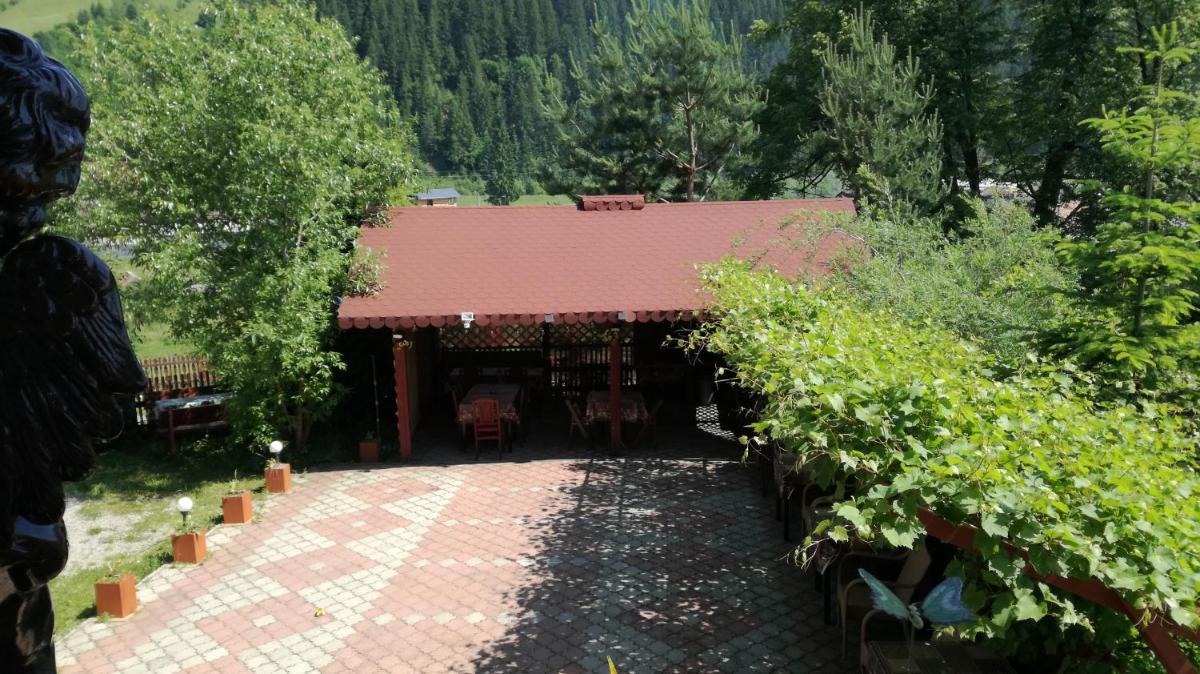 Flori de Bucovina - Housity