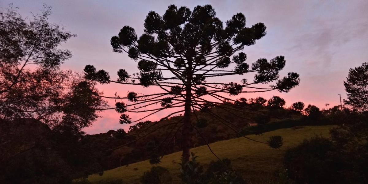 Pousada Recanto da Vitória - Housity