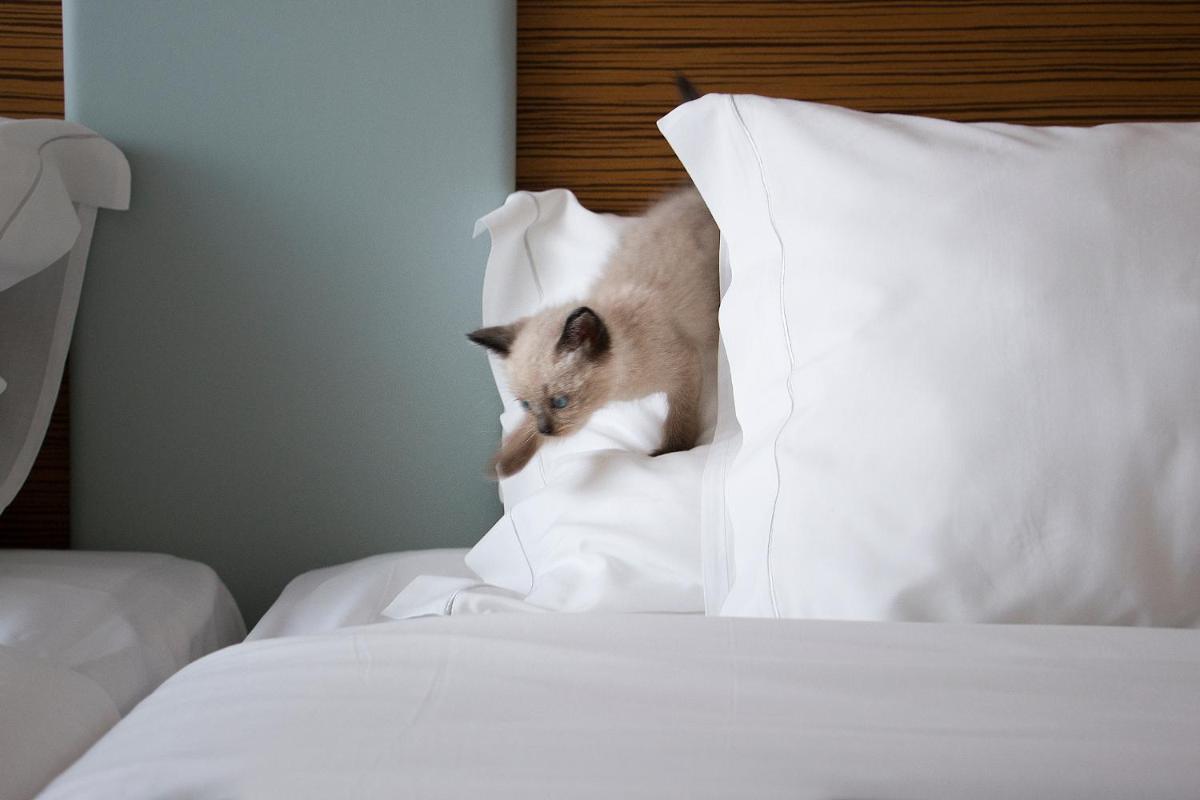 Uma cama ou camas num quarto em Hotel Meira