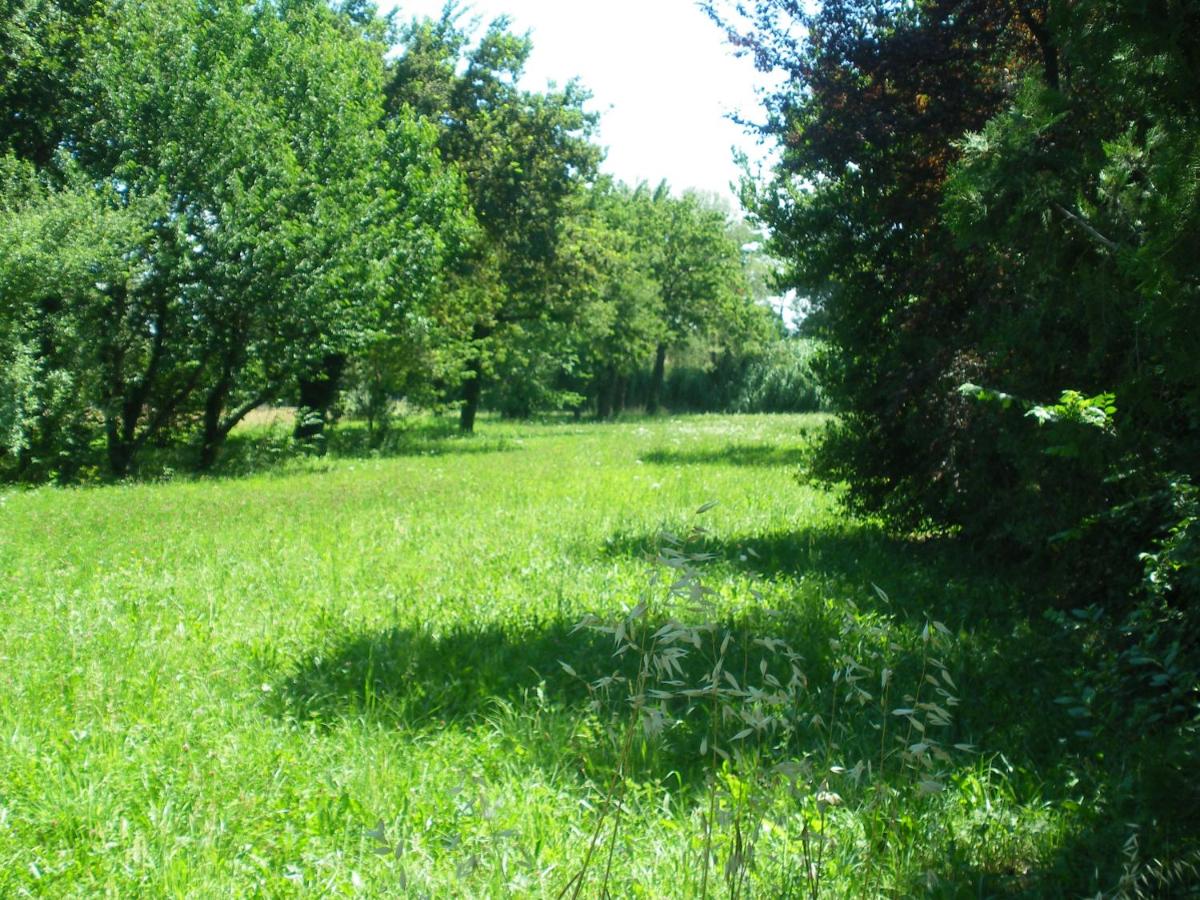 Au charme et à la campagne - Housity