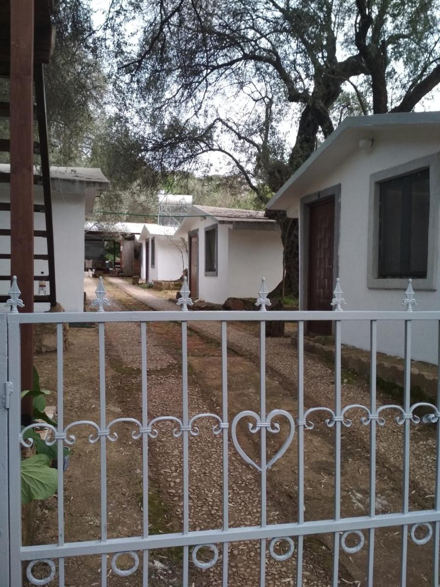 Raj mira - Housity