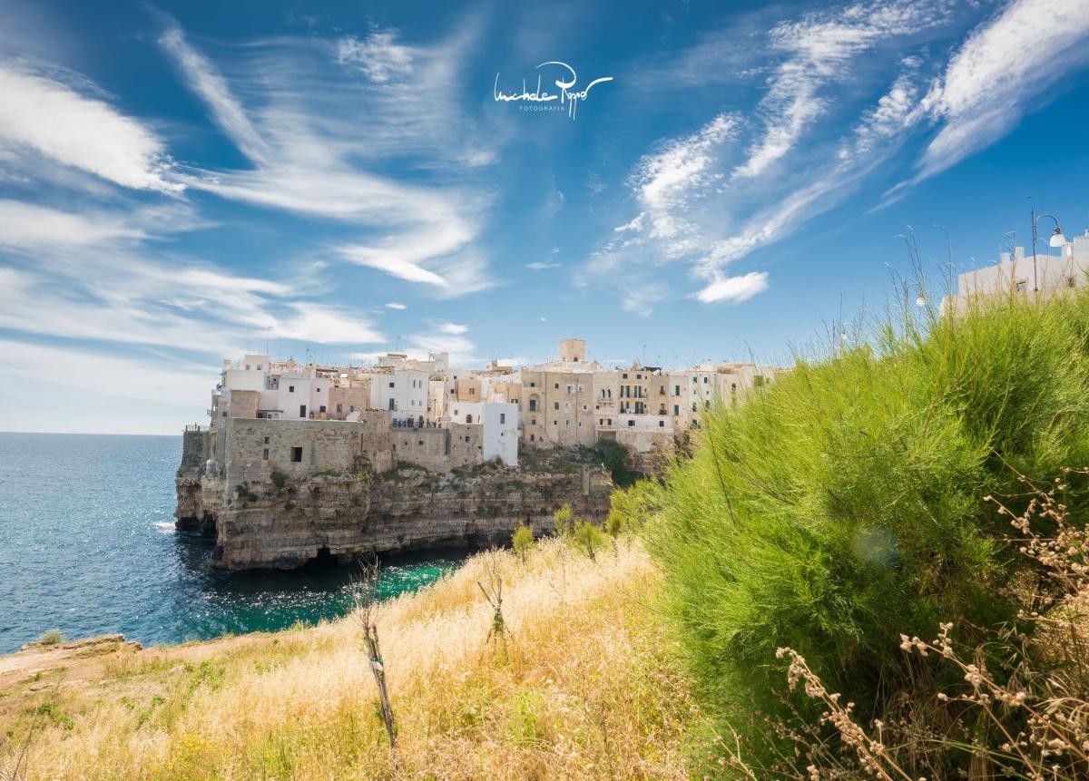 Le Lamie by Polignando - Housity