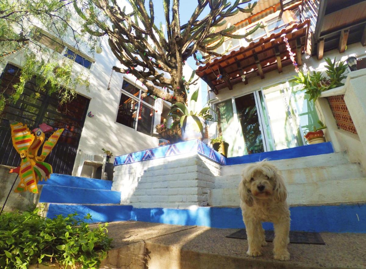 Las Enredaderas - Housity