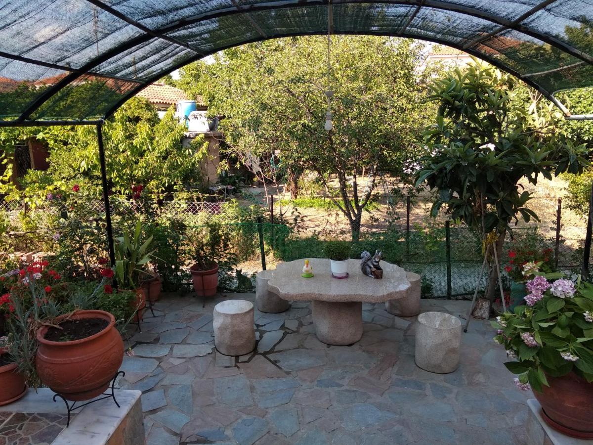 Summer Dream - Housity