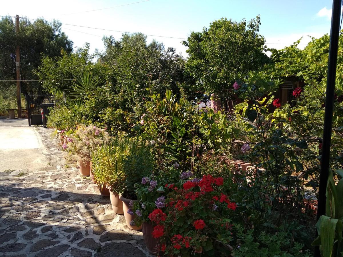 Summer Dream - Housity