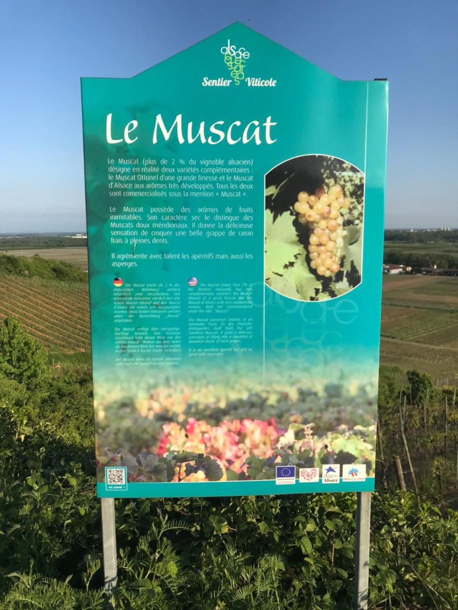 LE MUSCAT - Housity