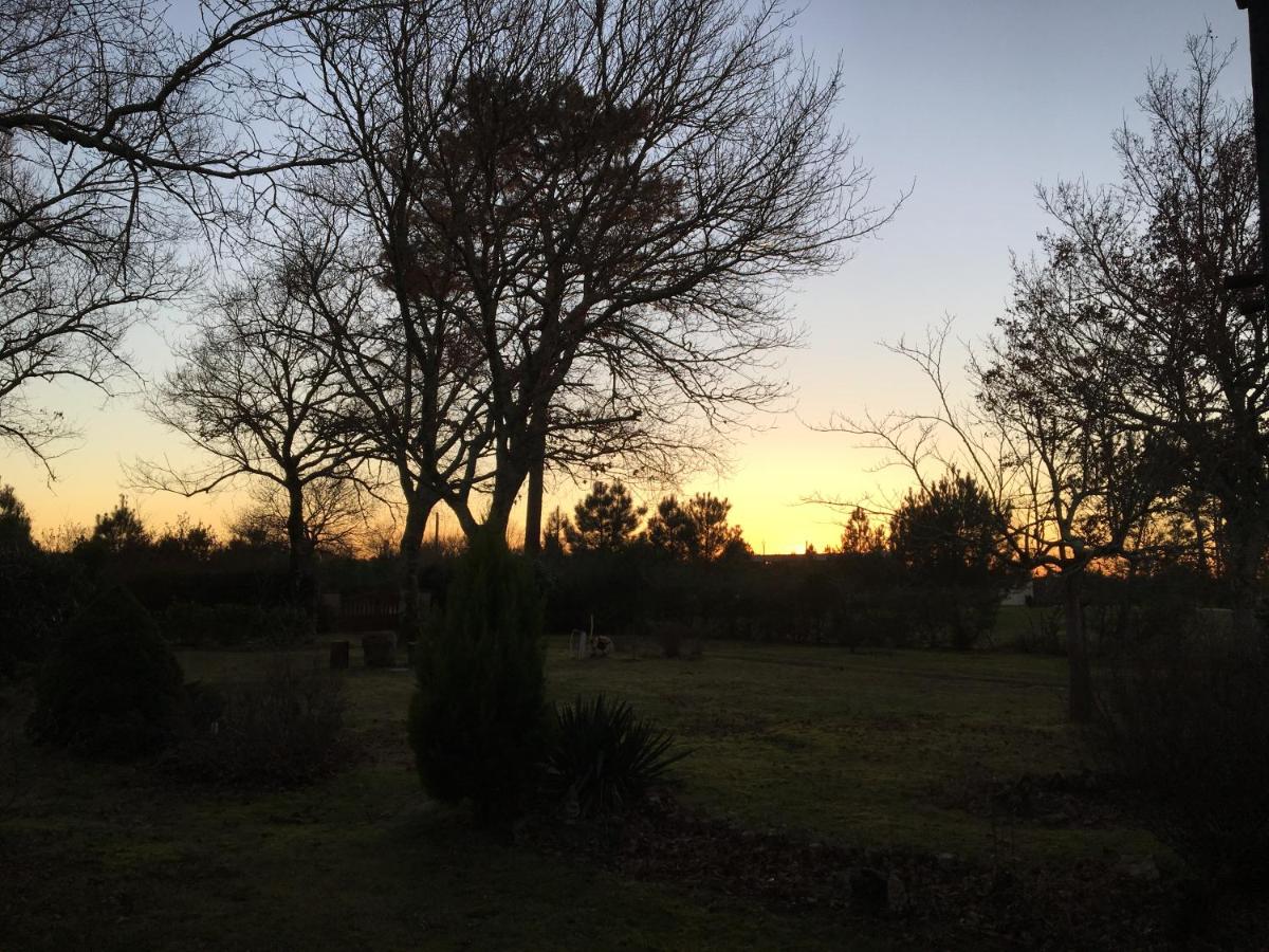 Stemicar dans les Landes - Housity