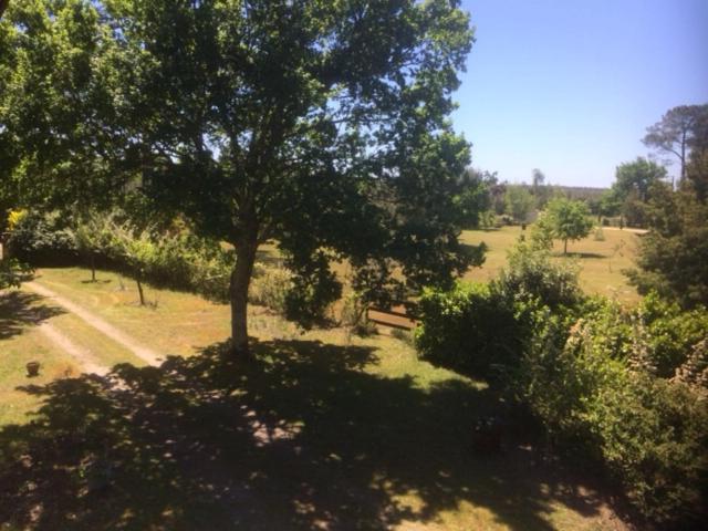 Stemicar dans les Landes - Housity