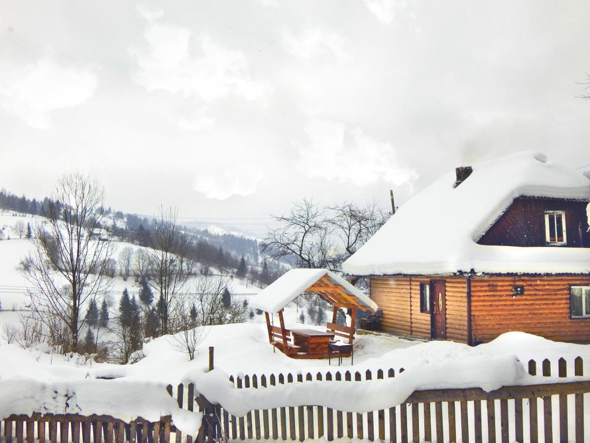 Cottage Svitanok - Housity
