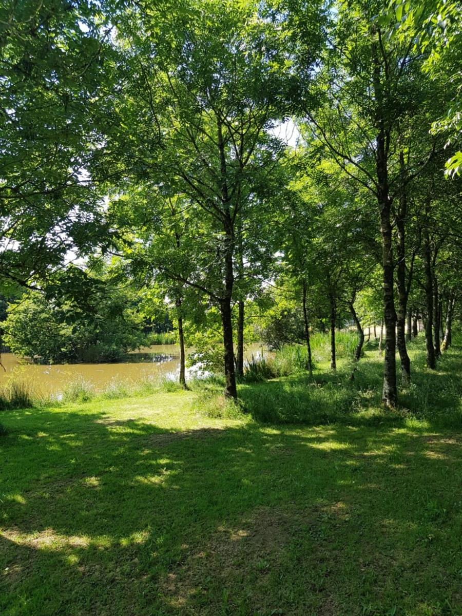 Thornbury Holiday Park - Housity