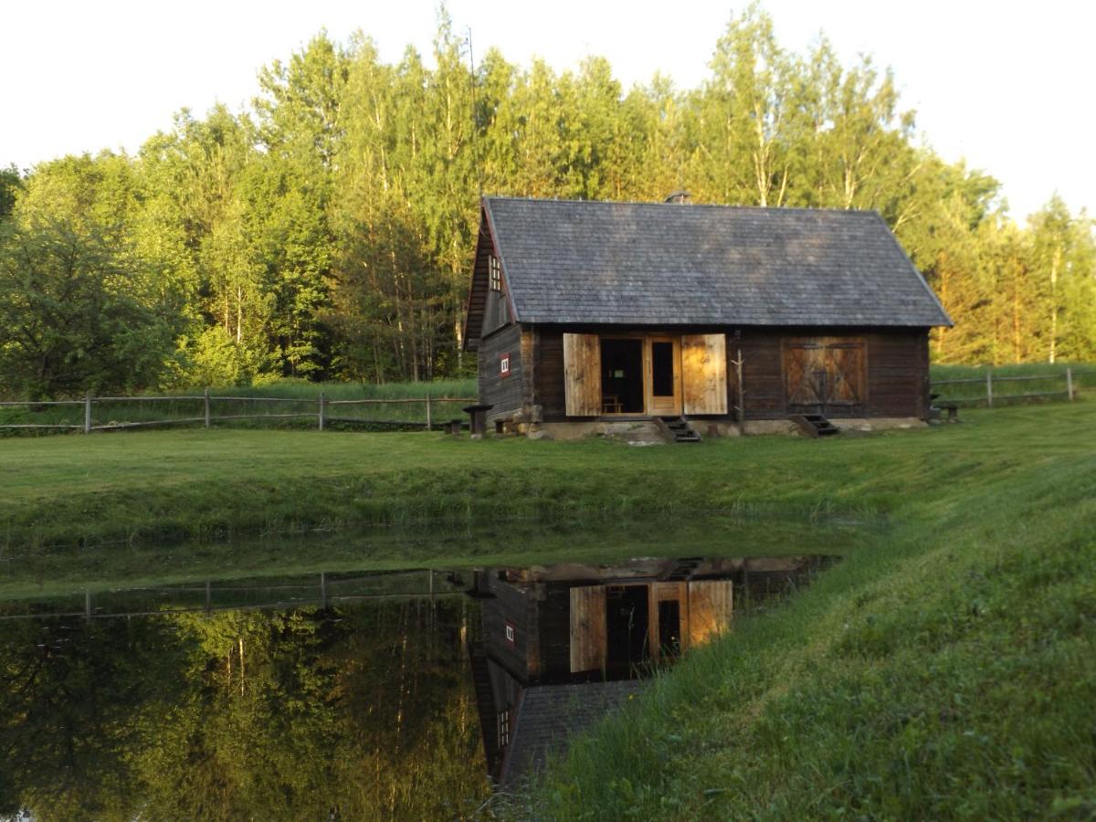 Labanoro pasaka - Elenutės namai - Housity
