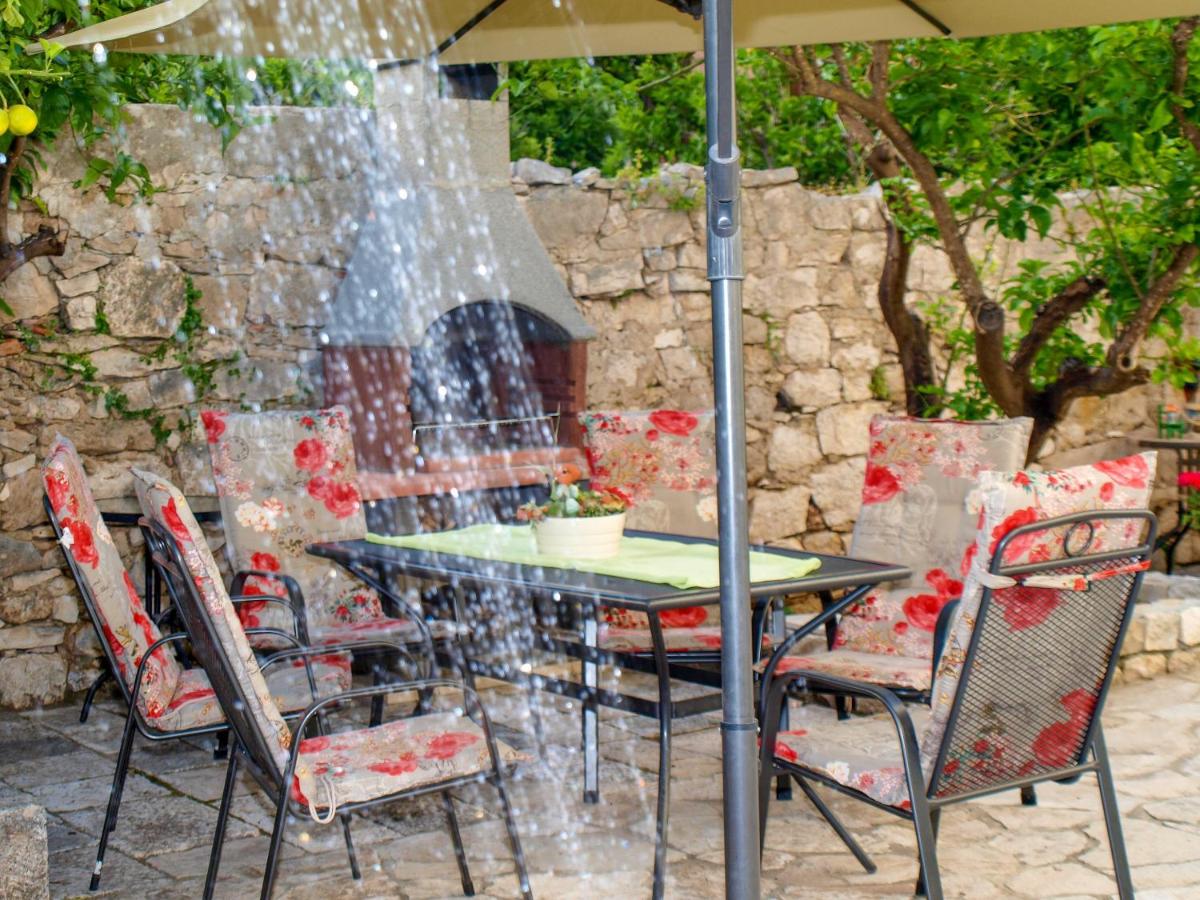 Lemon Tree - Housity