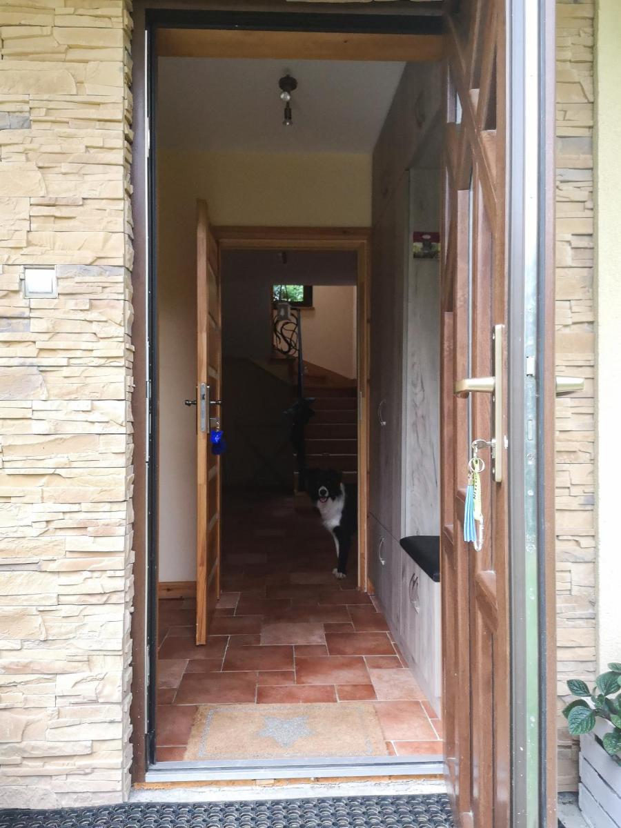 Zacisze Drwala - Housity