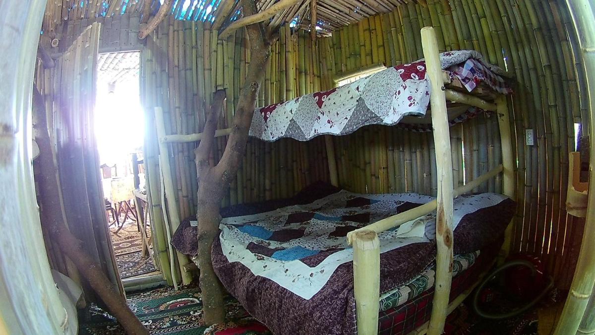 Eagle Nest - Housity