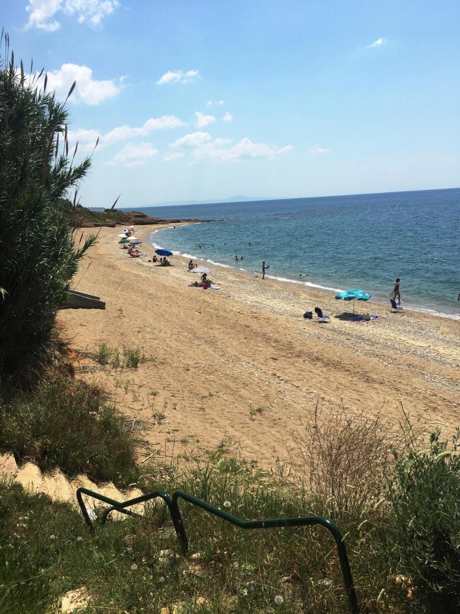 Estate Irene - Housity