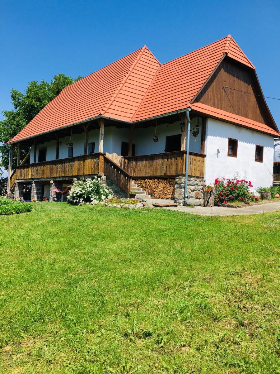 Miklós Lak - Housity