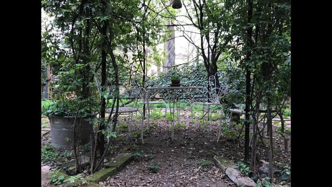 Casa luminosa con giardino in centro storico - Housity