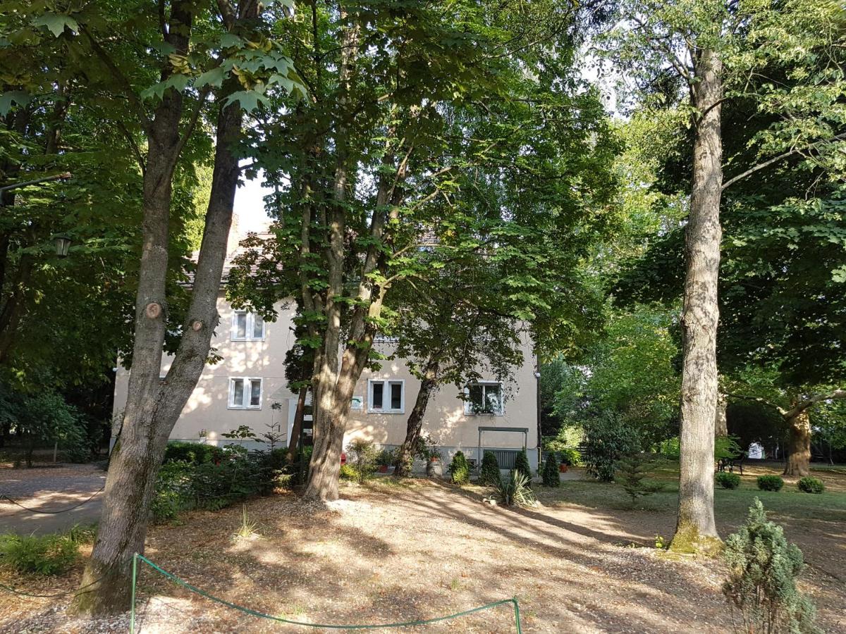 Park - ubytovanie v súkromí Somotor - Housity