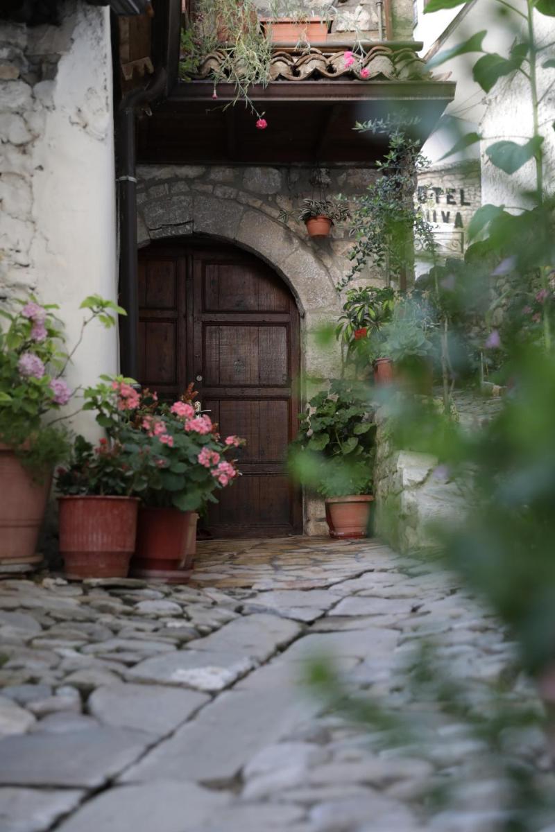 Guest House Mikel - Housity